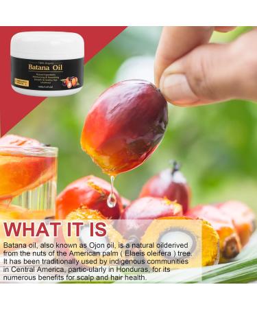  Elitecran Organic Batana Oil for Hair Growth 100ml Organic Batana Oil for Hair Growth for Thicker and Fuller - Buy Online on GoSupps.com