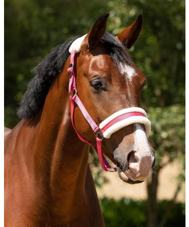 Shop ARBO-INOX Fuchsia Halter Set for Ponies | Faux Fur Halter & Lead Rope | International Shipping - Buy Online on GoSupps.com