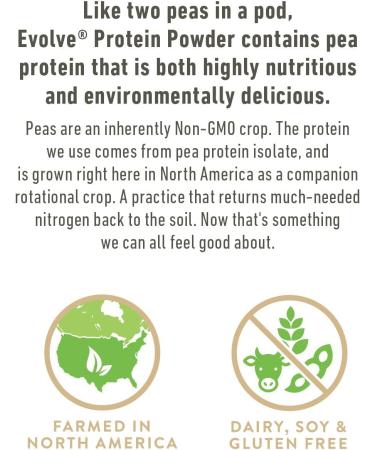 Evolve Protein Powder â€“ Ideal Vanilla, 20g Protein, 1 lb - Premium Plant-Based Nutrition - Buy Online on GoSupps.com