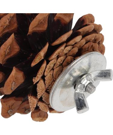 Shanrya Bird Molar Pine Cone Toy Nut Fix Parrots Chewing Pine Cones for Conure for Cockatiel - Buy Online on GoSupps.com