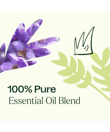 Buy Plant Therapy KidSafe Germ Destroyer Essential Oil Blend - 100% Pure Natural Aromatherapy for Kids Pre-Diluted Roll-On 10 mL - Buy Online on GoSupps.com