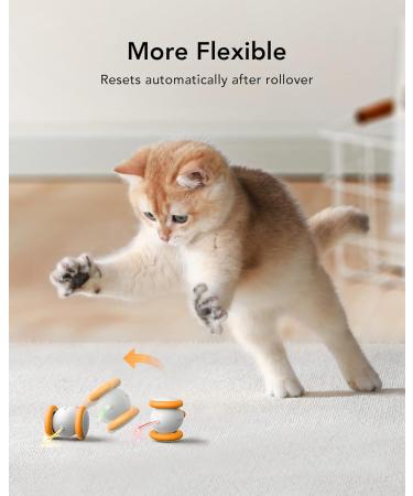 Petlibro Interactive Cat Toys - LED Lights, Electric Mice, USB Rechargeable - Buy Online on GoSupps.com