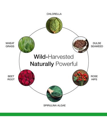 Dr. Schulze's SuperFood Plus - Everyday Superfood Supplement to Support Overall Wellness - Clean Quality Nutrition - Supports Metabolism & Daily Energy - Gluten-Free & Dairy-Free - 390 Tablets 390 Count (Pack of 1) - Buy Online on GoSupps.com