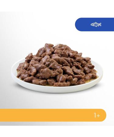 Perfect Fit Sensitive 1+ Wet Cat Food - Salmon in Sauce for Adult Sensitive Cats | Supports Digestion | 12 x 85g Pack - Buy Online on GoSupps.com