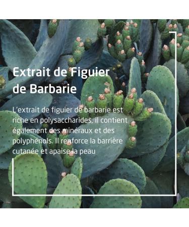 WELEDA - Moisturizing Eye Contour Prickly Fig - 10 ml - Buy Online on GoSupps.com