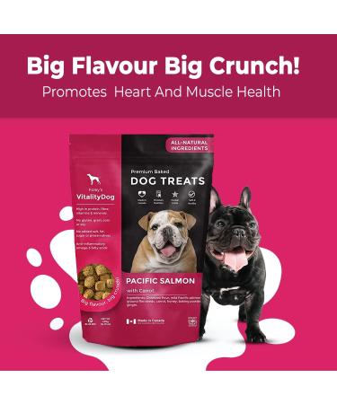 Vitality Dog Pacific Salmon with Carrots (2-Pack) Premium Baked Dog Treats - Training Treats for Dogs Pet Treats Dog Snacks - Made in Canada Grain Free Human Grade 400g / 14.1oz Pacific Salmon with Carrots 400 g (Pack of 2) - Buy Online on GoSupps.com