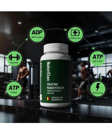 NaturElan Creatine Monohydrate Gummies, Sugar Free, No Gelatin, Pre Workout Supplement Supports Muscle Growth, Strength & Faster Recovery, Third-Party Tested, Vegan, Non-GMO - Buy Online on GoSupps.com