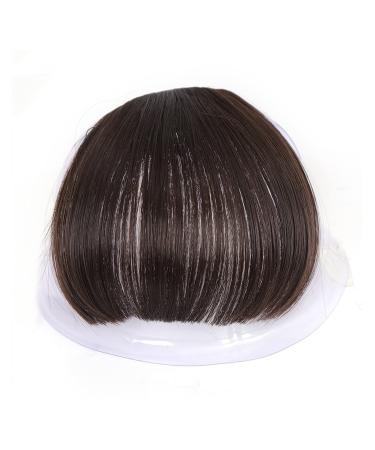 Bangs Hair Clip Hair Clip in Bangs Thick Flat Hairpieces Fringe Bangs Synthetic Fake Clip in Natural Neat Bangs Invisible one Piece Hair for Daily Wear Popular Cosplay Bangs Clip in Hair (Color : 4)