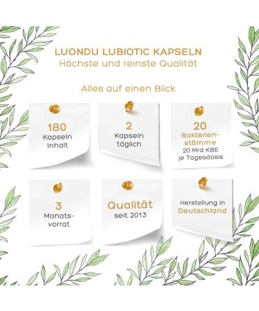 Cultures Complex - 350 Billion KBE/g 20 Strains & Organic Acacia Fiber - Vegan Gastrointestinal Support - 180 Capsules - Buy Online on GoSupps.com
