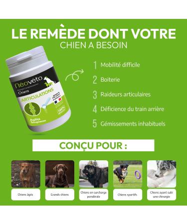N ov to - Dog Joints - Natural Powder - Dog Arthritis - Anti-inflammatory - Active ingredients approved by Veterinary Services - Made in France - Buy Online on GoSupps.com