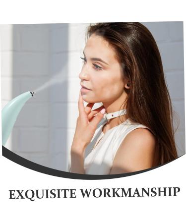 DRESSOOS Tools Handheld Oxygen Meter Face Misters Mini Facial Mister Facial Sprayer Ribbon The Face Woman Facial Steamer - Buy Online on GoSupps.com