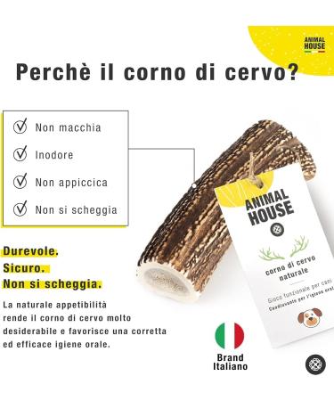 Animal House 100% Natural Deer Antlers for Dogs - Durable & Resistant Chew Promotes Mouth Hygiene - Available in XXL (1 Piece) - Buy Online on GoSupps.com