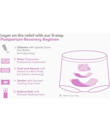 Frida Mom Postpartum Recovery Kit: Disposable Underwear, Ice Pads, Witch Hazel Liners, Healing Foam - Buy Online on GoSupps.com