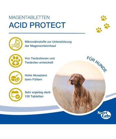 Nutrilabs Canicox HD Journey Tablets - Joint Support for Dogs with Glucosamine Chondroitin & Stomach Herbs - 100 Chewable Tablets - Buy Online on GoSupps.com