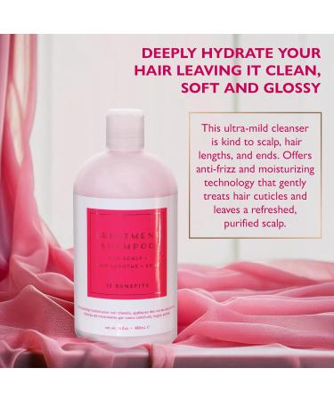 12 Benefits Treatment Shampoo Hydrating Scalp Treatment Gentle Effective Cleanse Sulfate-Free Shampoo for Dry Damaged and Color-Treated Hair 16 Fl Oz (480 ML) 16.9 Fl Oz (Pack of 1) - Buy Online on GoSupps.com