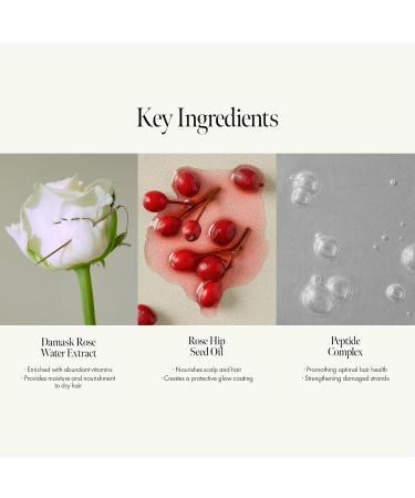 Rosy Night Repair Hair Ampoule Treatment | Protein & Peptide Complex for Damaged Hair | Musky Floral Scent Color Safe Silicone & Sulfate Free (200ml - Buy Online on GoSupps.com