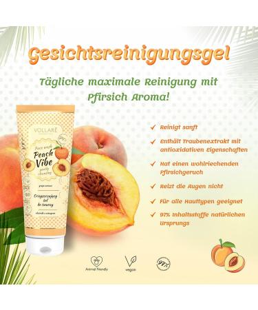 Vollare Cosmetics Complete vegan facial cleansing organic rich cream for cleansing your skin 94 natural ingredients made in Europe natural cosmetics for all skin types 1 piece 150 g 1er Pack - Buy Online on GoSupps.com