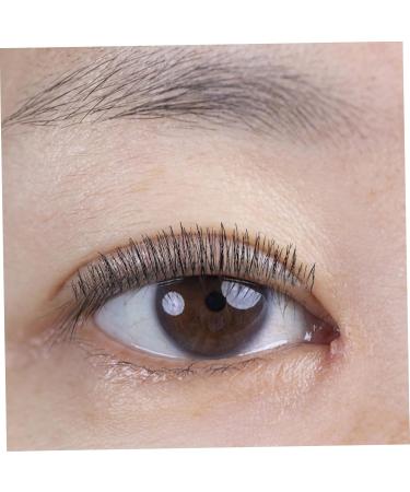 FRCOLOR 5 Pairs False Lashes Fake Lashes False Eyelash Fake Eyelash Eyelashes 3d Make up - Buy Online on GoSupps.com