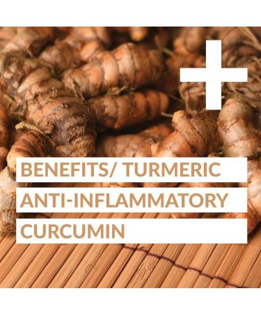 goodvibes juice co. Turmeric Daily | Natural Wellness Shot | Turmeric Black Pepper Ginger Chamomile Lemon Maple | Antioxidants Anti-Inflammatory Immunity | Vegan Gluten Free | 50mL Pouch (Pack of 12) - Buy Online on GoSupps.com