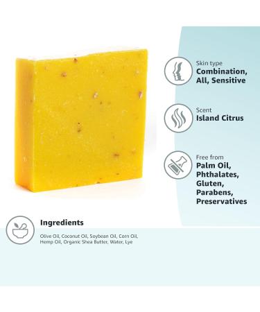 Island Citrus Handmade Men's Soap Bar - Oatmeal Scrub 5oz Castile Natural Soap Masculine Essential Oil Fragrance - Perfect for Anniversary & Wedding Gifts - Buy Online on GoSupps.com