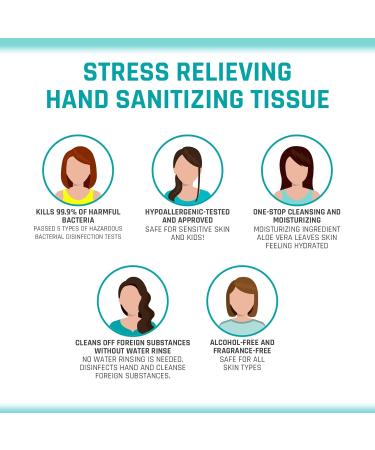 Ariul 80 Count Hand Sanitizing Wipes, Alcohol-Free, Moisturizing, Clinically Tested - Pack of 3 (240 Sheets) - Travel Size - Buy Online on GoSupps.com