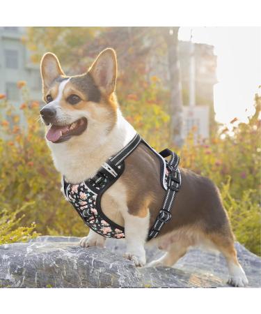 Heele Dog Crockery & Adjustable Reflective Anti-Pull Harness for Medium Dogs - Softly Breathable Padded Handle Floral-Black Design | XS Size (33-43cm) - Buy Online on GoSupps.com