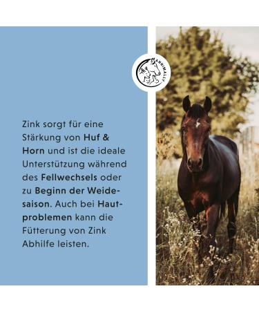 Annimally Zinc for Horses - High-Dose Zinc Pellets (2kg) with Black Cumin Zeolith Scot & Brewer's Yeast for Skin Hair & Hoof Care - International Shipping Available - Buy Online on GoSupps.com