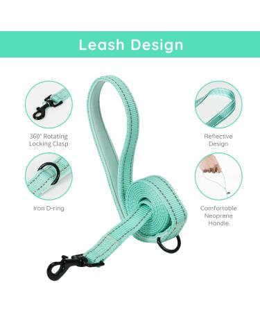 Shop Bella & Pal Small Dog Harness with Leash | Breathable Air Mesh Reflective Anti-Train | Perfect for Puppies & Cats | Mint Light Green (42-50cm) - Buy Online on GoSupps.com