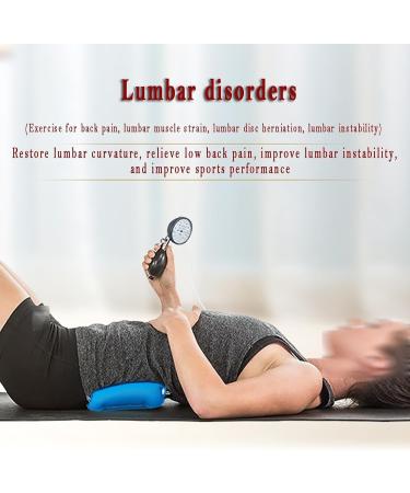 Core Strengthening Biofeedback Device Pressure Biofeedback Stabilizer Biofeedback Core Strengthening Tool Prevent And Improve Low Back And Neck Pain Lumbar Stabilizer 1 - Buy Online on GoSupps.com