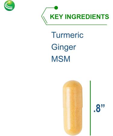 Nutra BioGenesis ArthroGenx - Turmeric Ginger & MSM for Joint Support | 150 Capsules - Natural Inflammation Relief - Buy Online on GoSupps.com