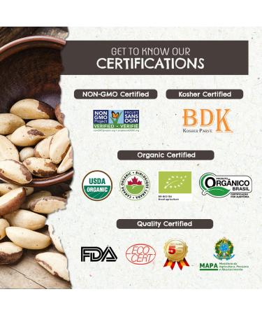 Organic Premium Brazil Nuts (15oz) Raw & Unsalted - Certified Organic, Fresh, Vegan, Gluten Free | Non-GMO, Kosher | Sustainably Harvested - Keto & Paleo Friendly - Pack of 1 - Buy Online on GoSupps.com