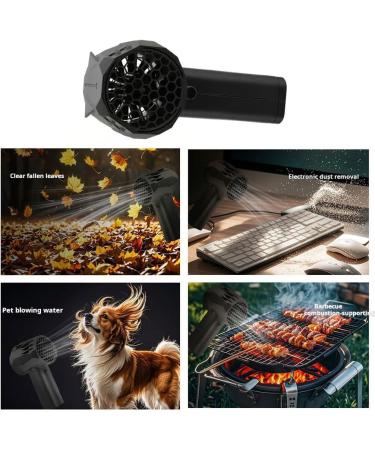 Carbon Fiber Composite Fan with High-Speed Brushless Motor Lightweight Body Easy to Carry Hair Dryer Blower Mini Size - Buy Online on GoSupps.com