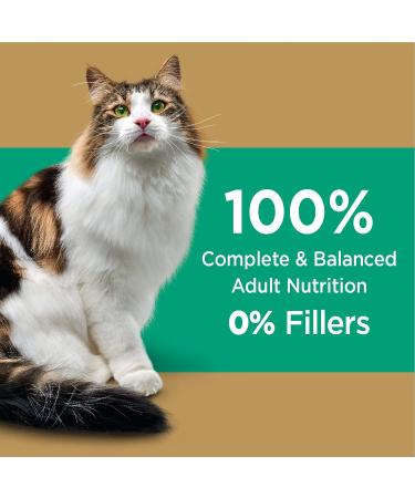 IAMS Proactive Health Dry Cat Food Adult Long Hair Care Chicken & Salmon 1.36kg Bag 1.36 kg - Buy Online on GoSupps.com