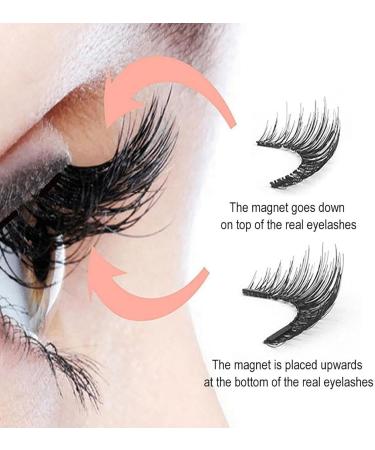 Elaracraft Magnetic Eyelashes Glowze Magnetic Eyelashes Double Sided Magnetic Eyelashes Elaracraft Magnetic Lashes Magnetic Eyelashes with Applicator(B10) - Buy Online on GoSupps.com