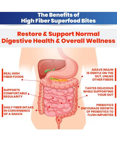 High Fiber Superfood Bites 5g Clean Fiber Snacks for Adults Peanut Cocoa Date Flavor High Fiber Foods No Added Sugar Vegan Fiber Snack Supports Digestion Regularity Gut Health Snack 30 Count - Buy Online on GoSupps.com