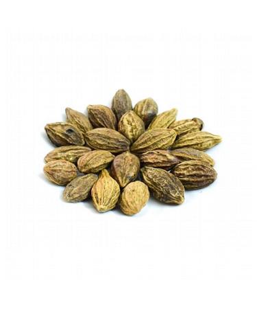 Whole Harde Terminalia Chebula / Haritaki / Black Myrobalan Free UK P&P (200g) - Buy Online on GoSupps.com