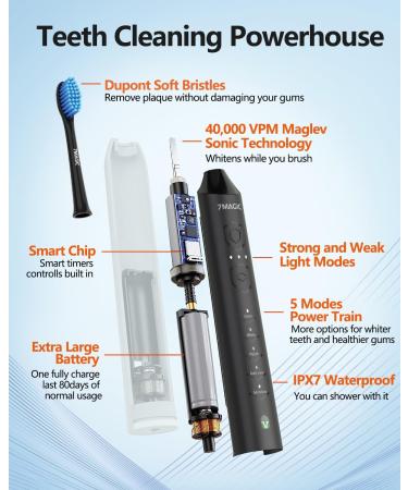Buy Sonic Electric Toothbrush for Adults - 5 Modes 40 000 VPM 12 Brush Heads Waterproof & Long Battery Life - Perfect for Fresh Breath Worldwide - Buy Online on GoSupps.com