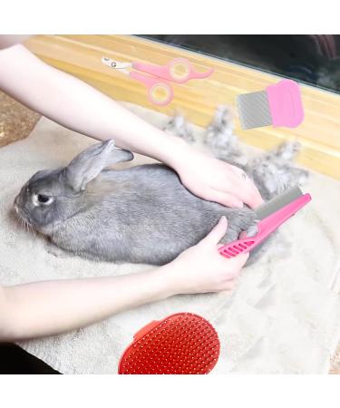 Buy Dxary Rabbit Care Set - Essential Brush and Bathing Kit for Rabbits Guinea Pigs and Small Pets - Fast International Shipping - Buy Online on GoSupps.com