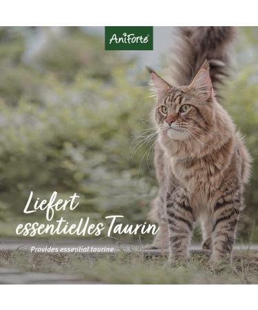 AniForte Complete Powder for Raw Food 100g - Barf Complete Food for Cats - Buy Online on GoSupps.com