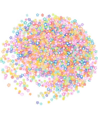 minkissy Nail Art Decor 3000 Pcs Cell Phone Accessories Decor Polymer Clay Slices for Nail Manicure Tool Nail Beauty Accessories Cosmetic Nail Protector - Buy Online on GoSupps.com