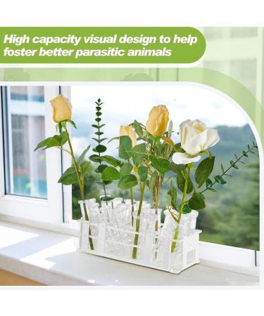 50 Pcs Floral Water Tubes with Rack Holder - Flower Vials for Milkweed Cuttings and Arrangements - Buy Online on GoSupps.com