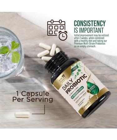 Probiotics 50 Billion CFU + 10 Strains - Max Absorption Daily Probiotic for Women & Men Lactobacillus Blend for Immune Support Prebiotics for Digestive & Gut Support Bottle In USA - 120 Capsules 120 Count (Pack of 1) - Buy Online on GoSupps.com