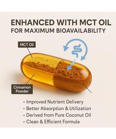 LIRAE Ceylon Cinnamon - 300 Softgels 7200mg Equivalent with MCT Oil Highly Bioavailable Herbal Supplement Made with True Ceylon Cinnamon Non-GMO Gluten Free Gentle Daily Support (1) - Buy Online on GoSupps.com
