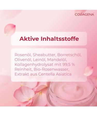 Collagena Rose Essential nourishing day cream with rose oil and collagen peptides deepacting moisture and antiaging care enriched with shea butter almond and olive oil 50 ml - Buy Online on GoSupps.com