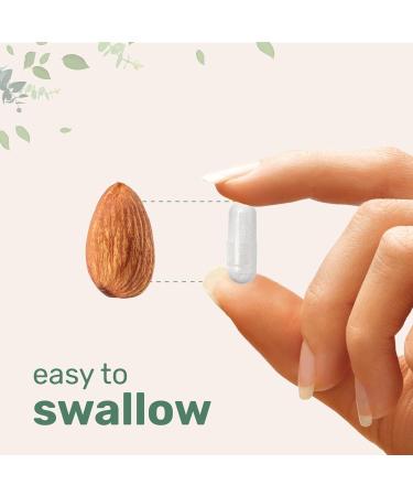 Micro Ingredients 8-in-1 Multi Collagen Powder & Women s Probiotics 100 Billion CFU Veggie Capsules | 2 Pack | Hydrolyzed Peptides + Hyaluronic Acid & Vitamin C | 40 Strains + Cranberry & D-Mannose - Buy Online on GoSupps.com