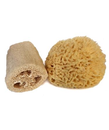 Spa Destinations 6-7 inch Sea Wool Sponge with Free 6 inch Loofah (loofa  lufa) for Bath and Shower