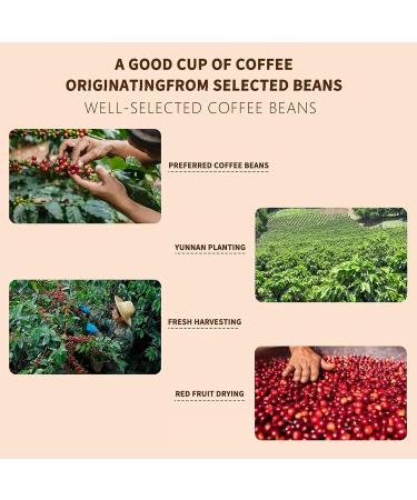  RASPIO Mushroom Coffee - Blend of 12 Superfoods with Lion's Mane and Cordyceps. Mental Clarity and Concentration. Vegan Alternative to Instant Coffee 360g - Buy Online on GoSupps.com