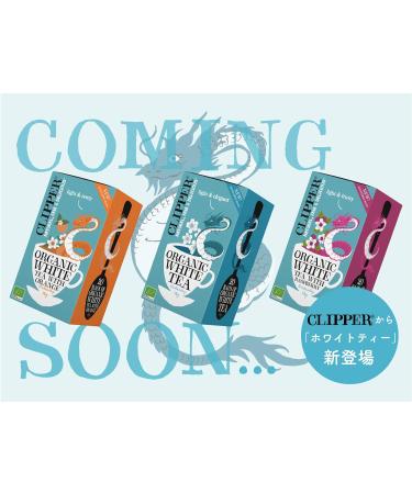 Clipper Organic After Dinner Mint & Fennel Tea Bags | 20 Infusion Peppermint & Fennel Sachets | Caffeine Free Teabags | Eco-Conscious Herbal Tea Bags | Natural Unbleached Plant-Based & Biodegradable Pack of 2 - Buy Online on GoSupps.com