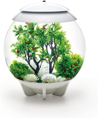 Buy Biorb 55028 Winter Decor Set 30L - Realistic Aquatic Plants Roots & Stones for Freshwater & Saltwater Aquariums - Buy Online on GoSupps.com