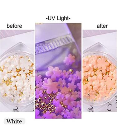 Tdkfdswdoa 6 Boxes of Light Change 3D Nail Flowers Accessories with Gold and Silver for Mixed DIY Jewelry Art Decorative Supplies - Buy Online on GoSupps.com